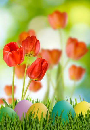 Image of easter eggs in grass, butterfly on sky background and flowersの写真素材
