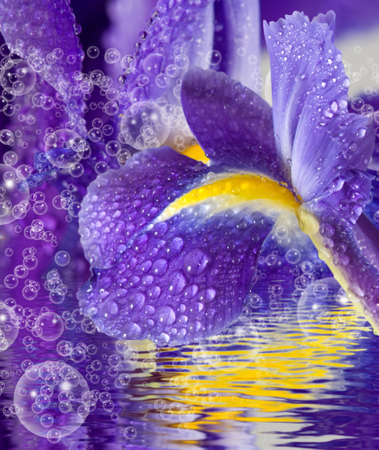 Image of beautiful flowers close-upの写真素材