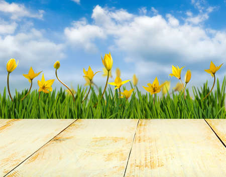 wooden board on flowers background close-upの写真素材