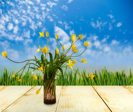 Image of beautiful yellow flowers in a vaseの写真素材