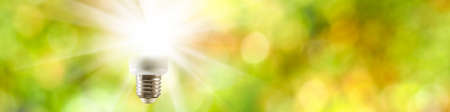 light bulb on green background closeup