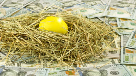 Image of golden egg in nest on money backgroundの写真素材