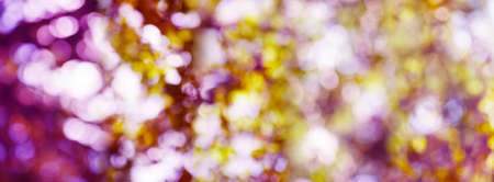 Abstract natural background closeupの写真素材