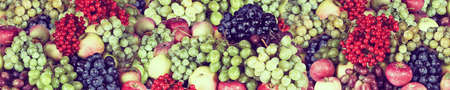 image of many fruit in garden closeup