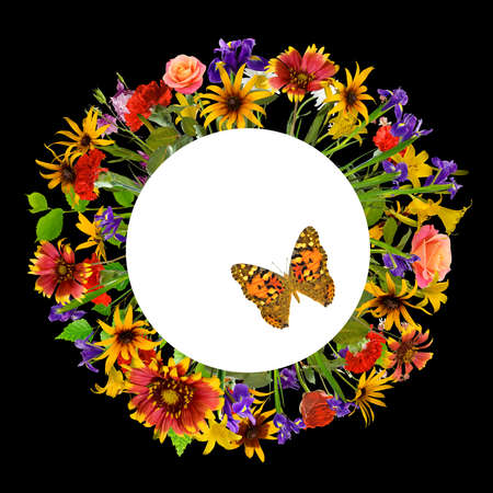 image of many flowers and a butterfly closeupの写真素材