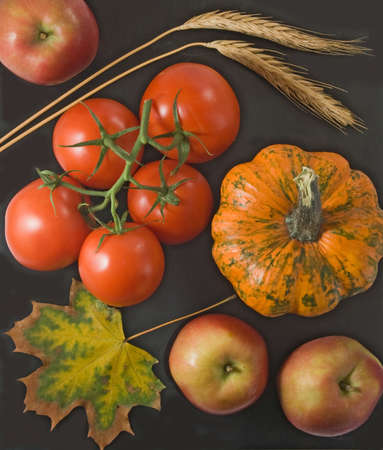 many vegetables closeupの写真素材