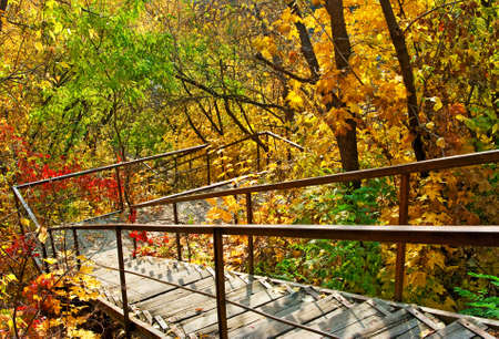 image of stairs in autumn park