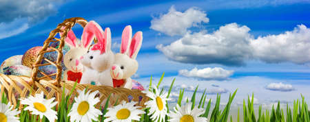 beautiful festive easter cardの写真素材