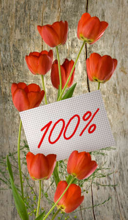  Discount for sale, 100 percent discount, beautiful flowers tulips in the grassの写真素材