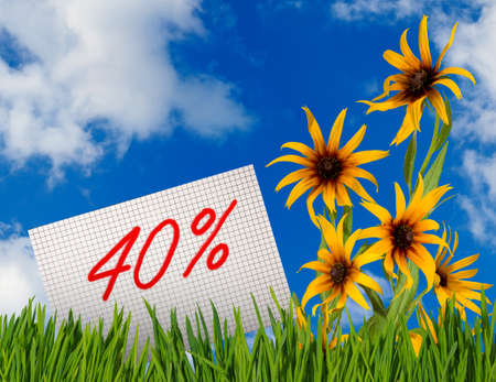  Discount for sale, 40 percent discount, beautiful flowers  in the grassの写真素材