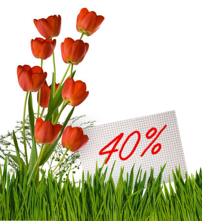  Discount for sale, 40 percent discount, beautiful flowers tulips in the grass