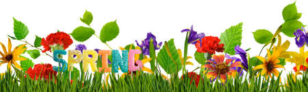  image of a lot of flowers as a symbol of spring