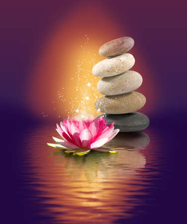 image of lotus flower on the water at nightの写真素材