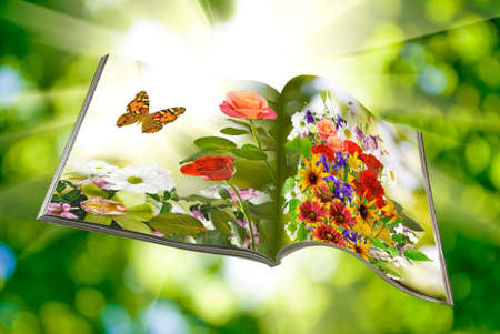 beautiful flowers in magazine close-upの写真素材