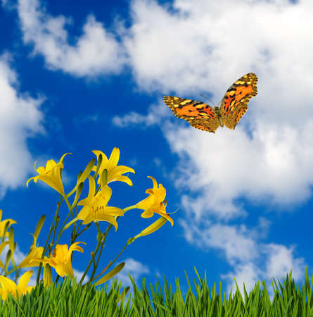  image of flowers and butterflies in the gardenの写真素材