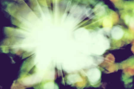 abstract image of natural backgroundの写真素材