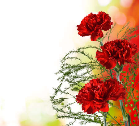 beautiful festive bouquet of flowers in the gardenの写真素材