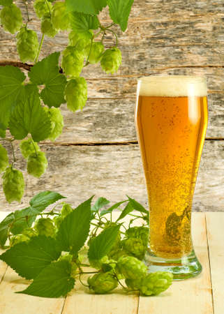 image of mug with beer and hops closeup