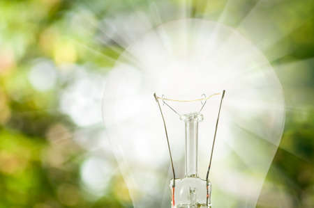 image of a light bulb on green backgrounds