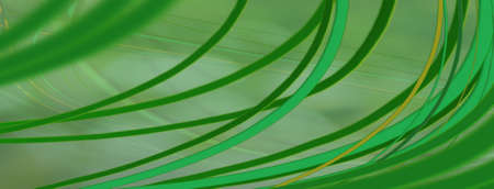 image of abstract background closeupの写真素材