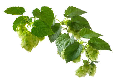 abstract image of dna chain on blurred backgroundの写真素材