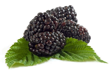 Isolated image of ripe blackberry on white background closeupの写真素材