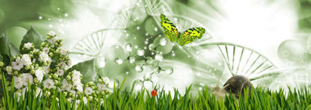 Abstract dna molecules together with a butterfly, snail and ladybug on a background of a fantastic landscape.の写真素材