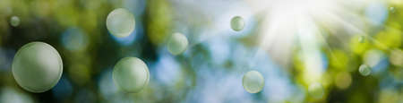 Image of green stylized balls on a beautiful abstract blurred natural background