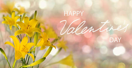 happy valentines day with beautiful festive flowers on colorful backgroundの写真素材