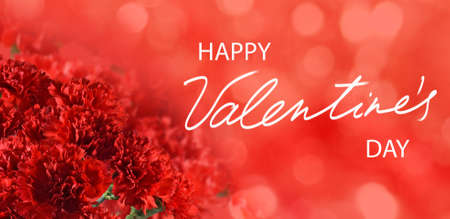 happy valentines day with beautiful festive flowers on colorful backgroundの写真素材