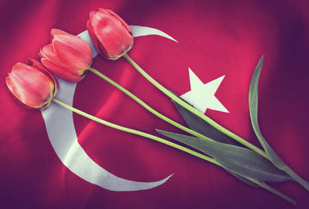 Vintage image of the flag of Turkey with three red tulips.の写真素材