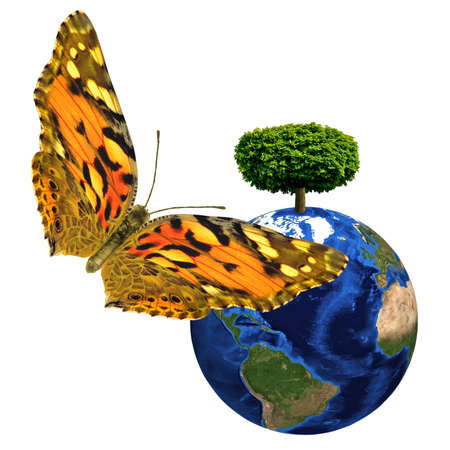 Images of planet Earth with a symbolic tree and butterfly on a white backgroundの写真素材