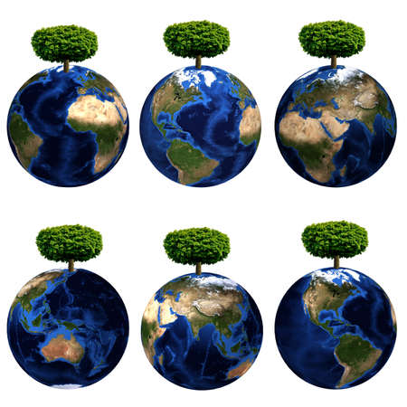 Images of planet Earth with a symbolic tree on a white background