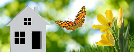 3d-image of a stylized house on the background of a natural landscape