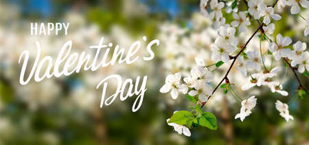 happy valentines day with beautiful festive flowers on colorful background