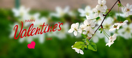 happy valentines day with beautiful festive flowers on colorful backgroundの写真素材