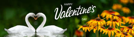 happy valentines day with beautiful festive flowers and two swans on colorful background