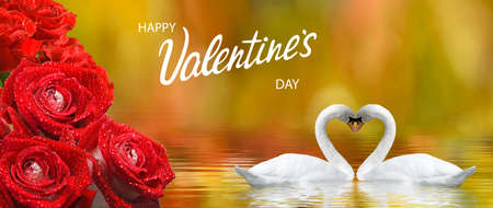 happy valentines day with beautiful festive flowers and two swans on colorful backgroundの写真素材