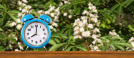 the image of a clock on a wooden surface against a background of blooming chestnutの写真素材