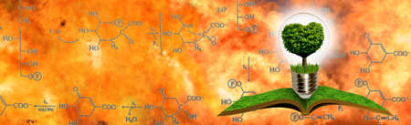 Abstract image of an open book and a tree in the shape of a heart that is inside a light bulb against the background of chemical formulas and flameの写真素材
