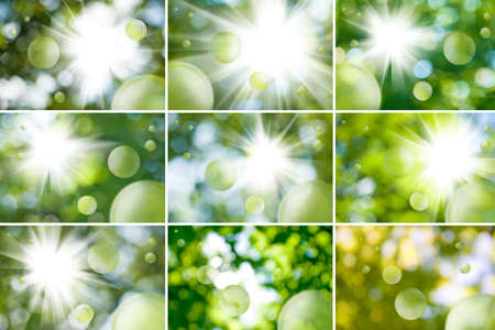 Thematic selection of images of green vegetal blurred backgroundの写真素材