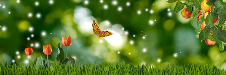 Image of beautiful flowers, butterfly and apples in the garden on a blurred background close-up. The...