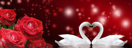 Two swans form a heart shape with their necks.  Beautiful festive flowers and two swansの写真素材