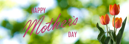 Happy Mother's day greeting card with flowers and a greeting inscriptionの写真素材