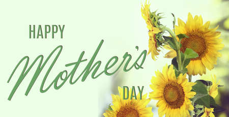 Happy Mother's day greeting card with flowers and a greeting inscription