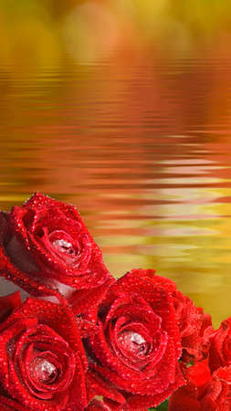 Image of beautiful flowers in the garden closeupの写真素材