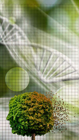An abstract image of a tree that resembles a human head, one part of which is green foliage, and the other part of the head is depicted as falling yellow autumn leaves. All this on an abstract background with stylized images of a DNA molecule and open notebook pagesの写真素材