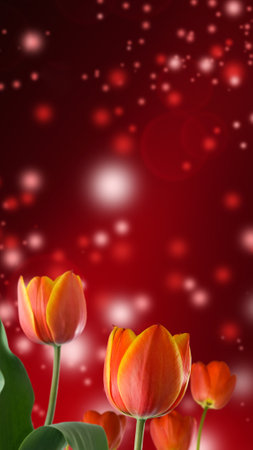 Image of beautiful flowers in the garden closeupの写真素材