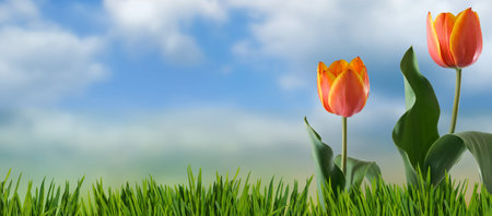 Image of beautiful flowers on abstract blurred green backgroundの写真素材