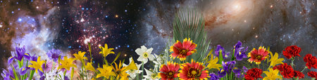 Close-up image of beautiful bright festive flowers on a green blurred backgroundの写真素材